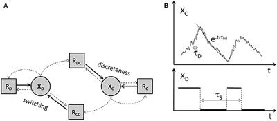 Time Dependent Stochastic mRNA and Protein Synthesis in Piecewise-Deterministic Models of Gene Networks